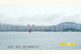 厦门独特的物种--文昌鱼，竟然不是鱼？视频封面