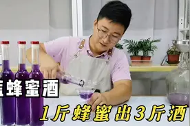 1斤蜂蜜出酒3斤，自酿微醺8度蓝色蜂蜜酒，搭配柠檬口感甜而不腻