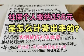 私营企业社保，个人缴纳356元是咋计算出来的？实例解析社保缴费视频封面
