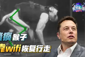 揭秘马斯克脑机接口！瘫痪猴子大小便失禁，借助wifi恢复行走！视频封面