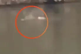 16岁救狗溺水失踪男孩是家中独子，1米91阳光帅气，落水瞬间曝光视频封面