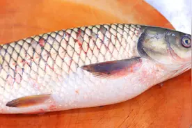 厨师长教你家常炖草鱼，鱼片洁白如雪，滑嫩可口，汤汁鲜美不腥