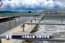 杂志天下：巧用微生物 改善水环境视频封面