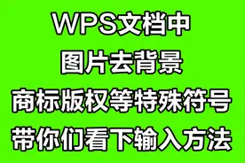 WPS文档中 图片去背景 商标版权等特殊符号 带你们看下输入方法视频封面