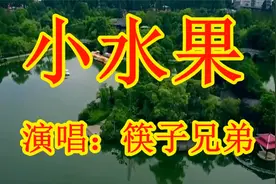 筷子兄弟《小水果》网络歌曲。视频封面