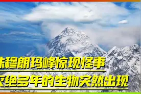 珠穆朗玛峰惊现怪事，灭绝多年的生物突然出现，科学纷纷惶惶不安视频封面