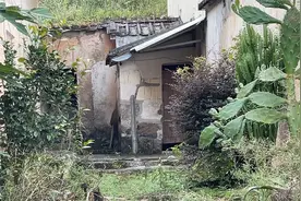 广东河源一无人村，一夜间村民全部搬走，原因令人惊讶！视频封面