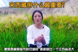 西藏地广人稀也有5G网络，进藏带什么最重要？藏族姑娘卓玛告诉你视频封面