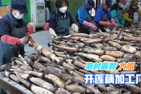 离异农村大姐开莲藕加工厂，独自拉扯大儿女，第一年就赚了50万视频封面