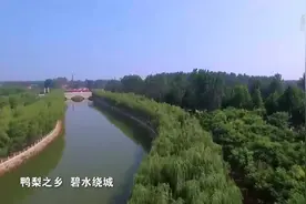 河北魏县：生态美景入画屏视频封面