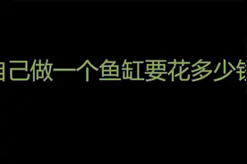 自己动手做一个鱼缸要花多少钱  片尾有明细视频封面
