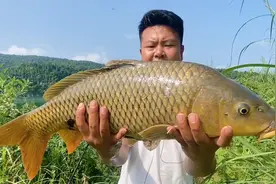 野钓10斤大鲤鱼指南：首选这2个位置下竿，钓上的巨物够你吹5年视频封面