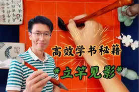 高效学书法秘籍，零基础轻松入门，看完视频初学提升见效快视频封面