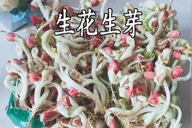 教你在家用废弃的饮料盒生花生芽，好吃营养又简单，七天就可以吃视频封面