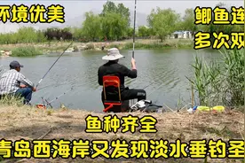 青岛西海岸又发现淡水垂钓圣地，鲫鱼连杆，环境好还免费，钓嗨了视频封面