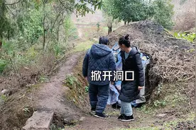 山里人储存红薯有妙招，挖出来不带回家，整个地窖能存放半年视频封面