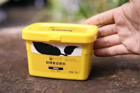 懒人养花施什么肥料？园艺师教你，使用控释复合肥，施肥很简单视频封面