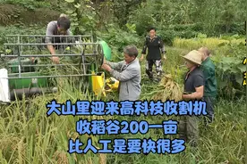 大山里迎来高科技收割机，收稻谷200一亩，比人工是要快很多视频封面
