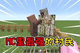 我的世界：村民的秘密！真实的村民是文武双拳，铁傀儡也锤不过！视频封面
