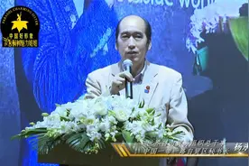 梧桐树魅力姐姐大赛 世界自由贸易组织总干事 杨永新致辞视频封面