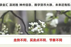 海联金汇 赢时胜 神州信息，数字货币大跌，未来还有机会吗？视频封面