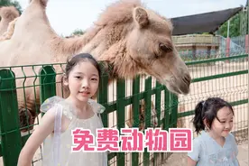 西安唯一免费的动物园，喂骆驼羊驼，孔雀，猴子，还有免费游乐园视频封面