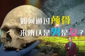 如何通过颅骨来辨认是男是女？史上最强考古冷知识，你知道多少？视频封面
