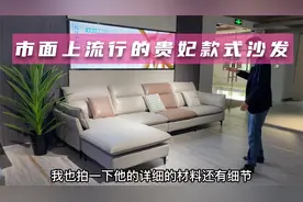 今年流行的贵妃款沙发，搭配3.7-3.9米客厅，还是产地的性价比高视频封面