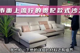 今年流行的贵妃款沙发，搭配3.7-3.9米客厅，还是产地的性价比高视频封面