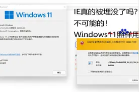 微软移除了IE？不存在的！Windows11照样用！【转载】视频封面