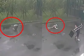 可怕！韩国男童回家突遭一只狗狂追撕咬，得救后瘫软在地动弹不得视频封面