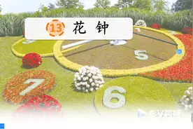 三年级语文下册第13课《花钟》视频封面