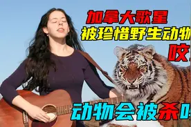 如果人被熊猫攻击，人可以把它打死了吗？真实案例令人深思！视频封面