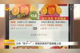 火热“双十一”：湖南优质农产品销量上涨视频封面