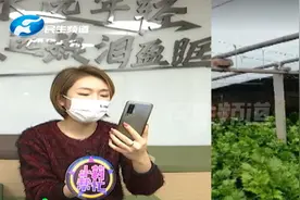 河南郑州：五十吨无公害蔬菜滞销，小莉“线上”帮忙找销路视频封面