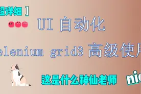 【软件测试】之UI自动化selenium grid3的高级使用视频封面