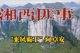 民国时期来凤县“坐山虎”向卓安，人称“来凤霸王”，娶8个老婆视频封面