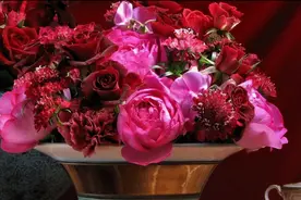 《 卡农 》（Andre Rieu在马斯特里赫特音乐会现场）