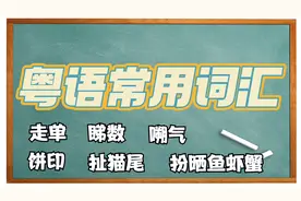 【粤语常用词汇】走单、睇数、嗍气、饼印、扯猫尾、扮晒鱼虾蟹