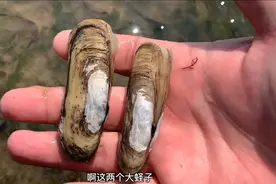 大白赶海，把螃蟹笼子放在大海里几个小时，看看收获如何？