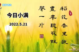 书法欣赏｜二十四节气小满：稻花香里说丰年，听取蛙声一片视频封面