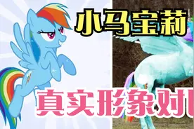 小马宝莉的真实形象是？现实世界真马版对比！这也太漂亮了吧！视频封面