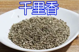 大厨揭秘香料知识，第三十集“千里香”，学会无妨，不学可惜