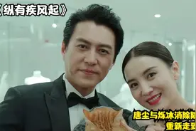 纵有疾风起（大结局）17：唐尘与烁冰重新走到了一起视频封面