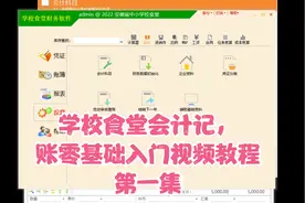 第一集：学校食堂会计做账零基础入门视频教程视频封面