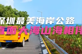 90%的深圳人还没走过，这条最美海景公路，网红S型弯道的山海一色视频封面