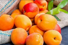 为什么说杏子不能多吃？营养师发声，吃多杏子坏处都在这里