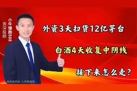 外资3天扫货12亿茅台 ，白酒4天收复中阴线，接下来怎么走？视频封面