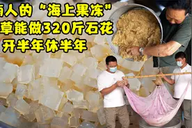 漳州大叔用8斤草做320斤石花膏，做半年休半年，源自大海的果冻视频封面