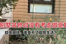别墅装修时你有考虑做驱蚊吗？庭院驱蚊一定要提前规划视频封面